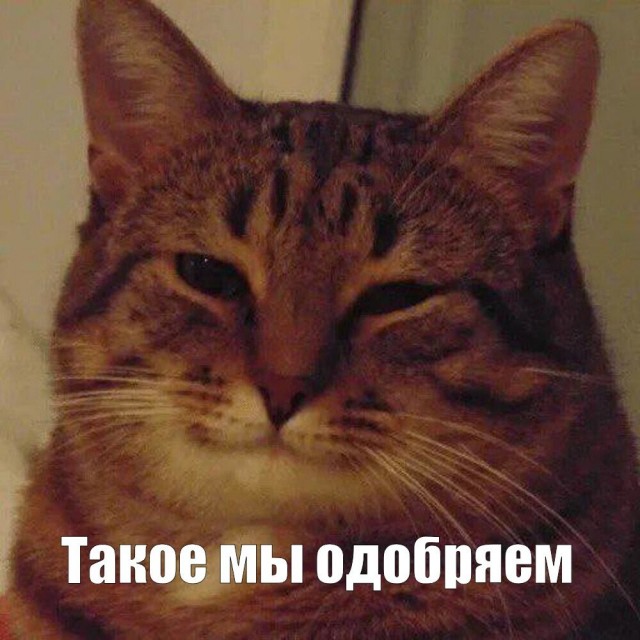 Заброшенный полигон высоковольтной энергетики Сибири и Дальнего Востока