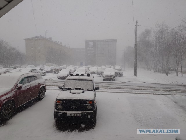 Весна ПРИШЛА!