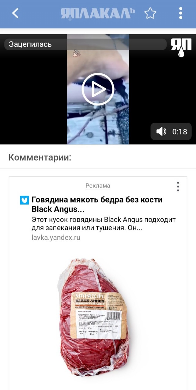 Зацепилась