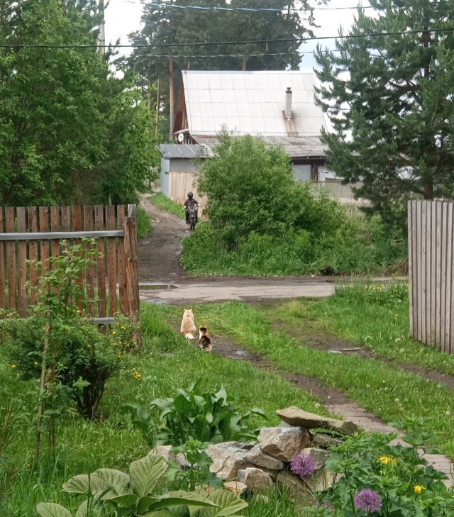 Кому средство от грызунов?