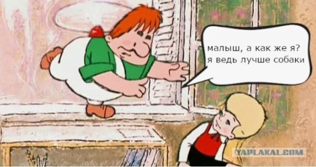 Мечты сбываются