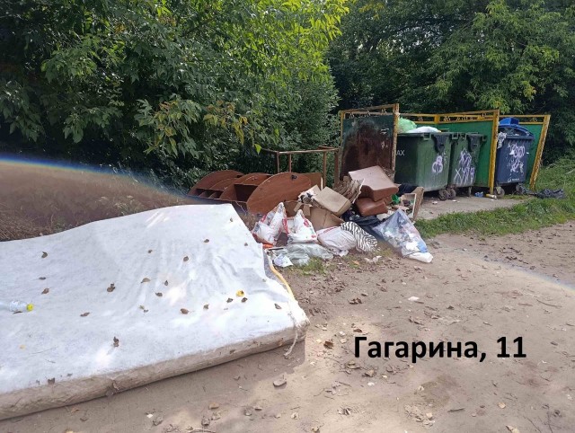 Предвыборные помойки