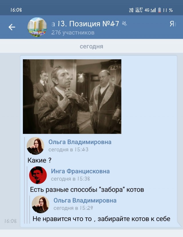 Коты