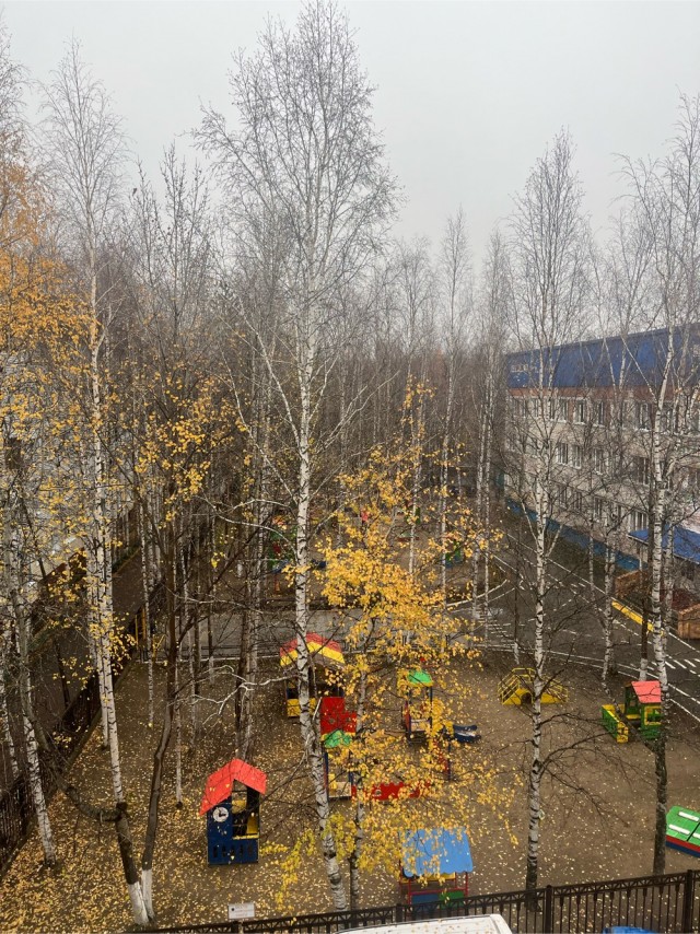 Приветствую вас друзья.