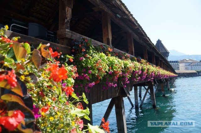 Поездка в Швейцарию