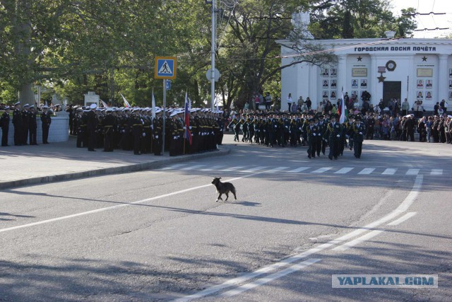 С праздником великой победы !