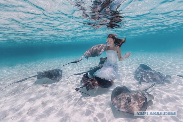 Завораживающие снимки с "подводной девушкой"