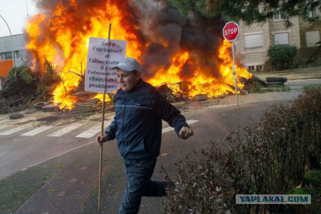 День протеста французских фермеров.