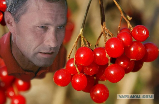Малоизвестные кинобандиты