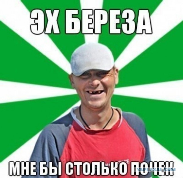 Демотиваторы вторника