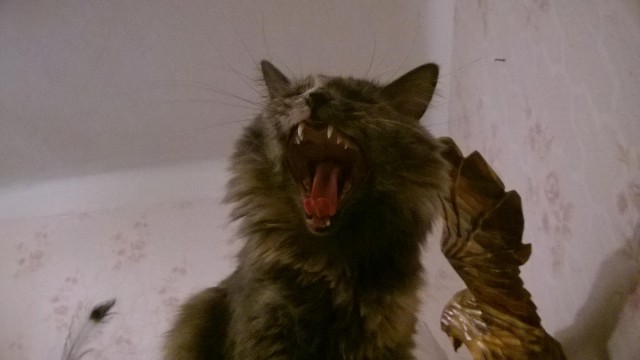 Про Тучку, которая стала Дымкой