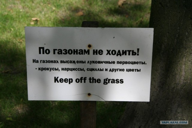 Фототелефон