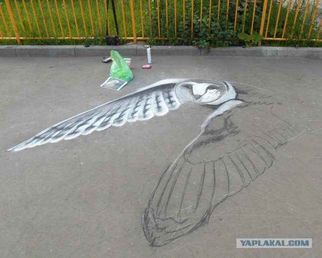 Как нарисовать сову!