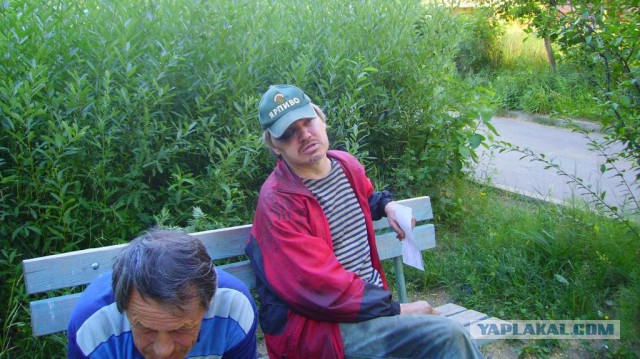 Фото не из интернета
