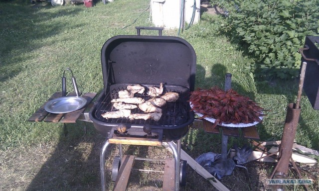 Решили мы как-то попить Пыва с раками!