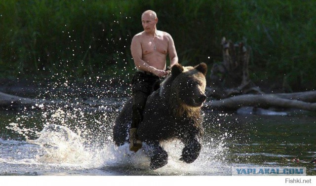 Машины Владимира Путина