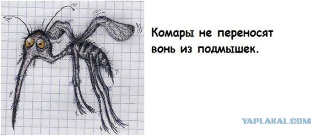 Свежая, утренняя, подборка картинок.