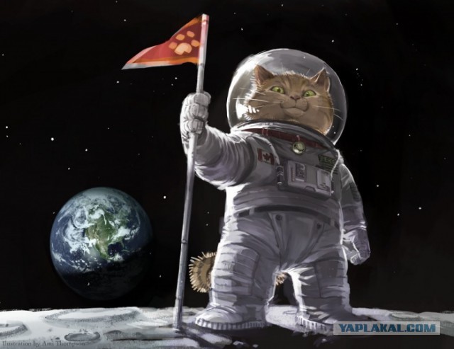 Подборка картинок 04.03.16