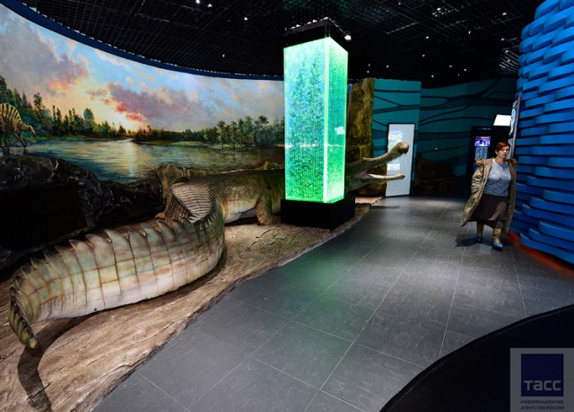 Подготовка к открытию Приморского океанариума на острове Русский во Владивостоке (Часть 2)