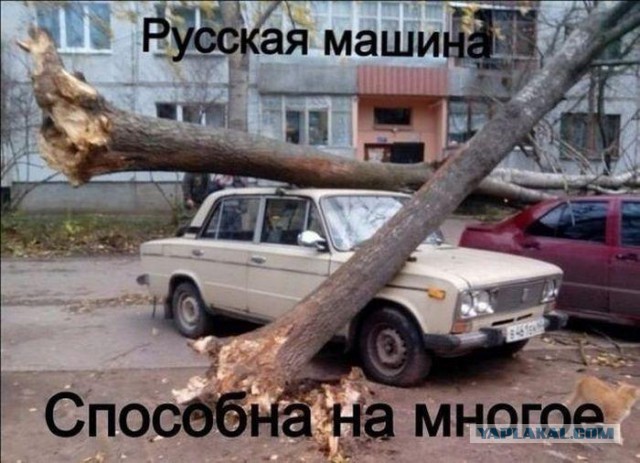 Авто приколы!