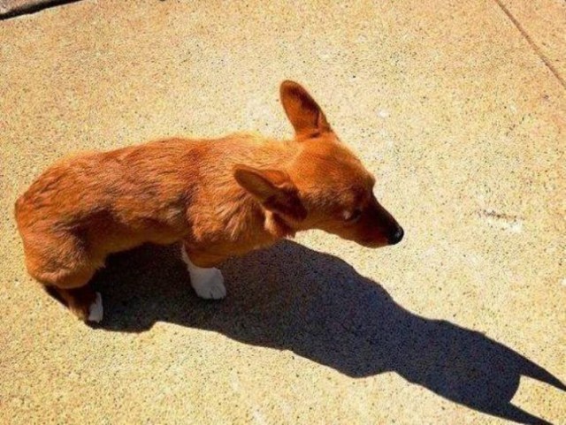 Подборка интересных и веселых картинок