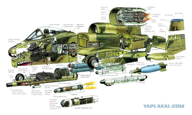А-10: любимый штурмовик Чака Норриса
