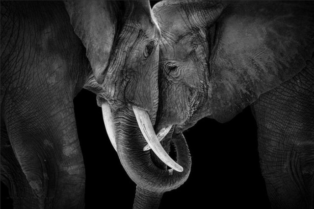 Эти глаза напротив. Калейдоскоп.