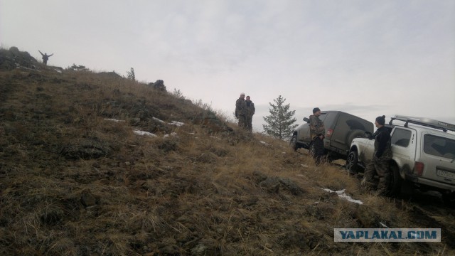 Зарница для старперов