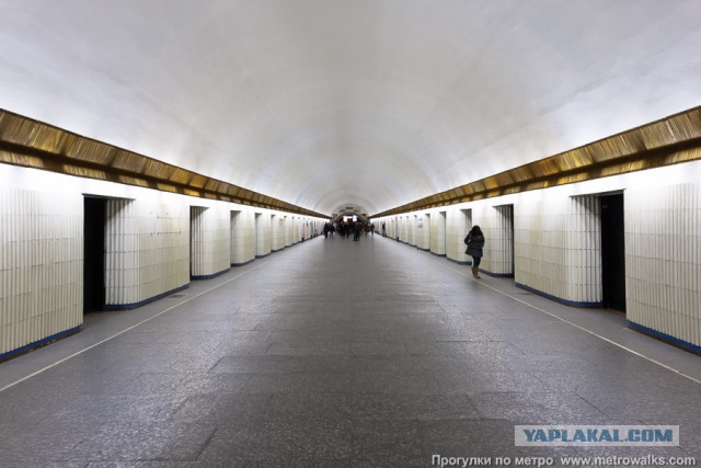 Парня толкнули под поезд в Петербурге 18+