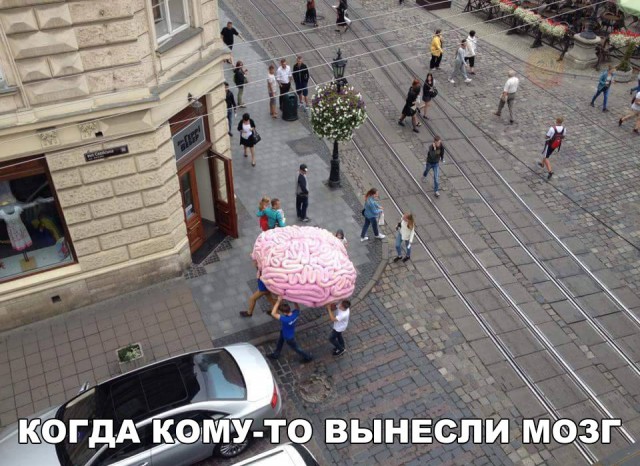 Подборка безудержного веселья
