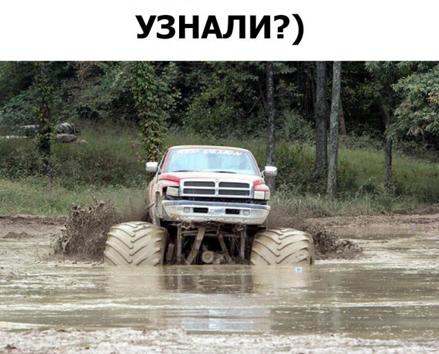 Всякие разные картинки