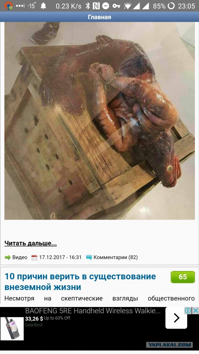 Что за чудо?