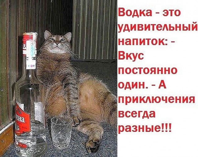 Деловой этикет. 10 основных правил поведения за столом