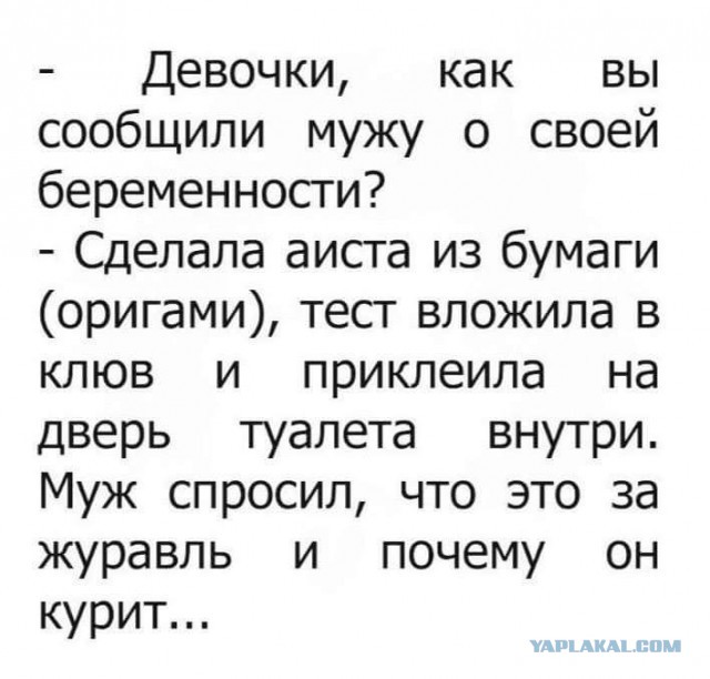 Смешные комментарии из социальных сетей 22.12.2017