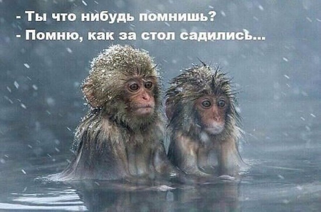 Алкогольный юмор 18+