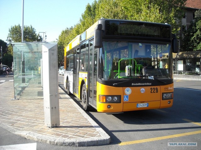 Общественный транспорт в Германии.Buss.