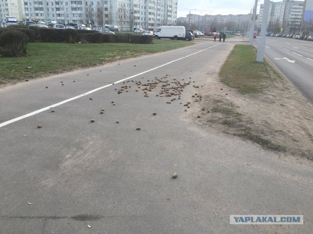 Срач на улицах - явление, увы, интернациональное
