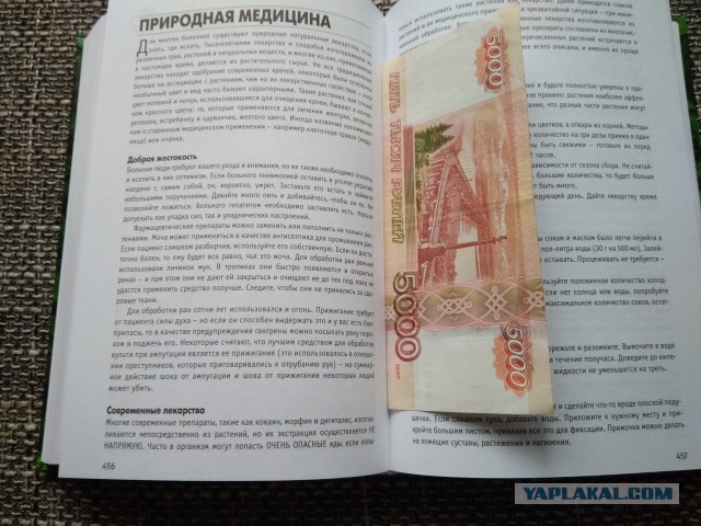 Деньги в книге. Или как довести продавца до истерики