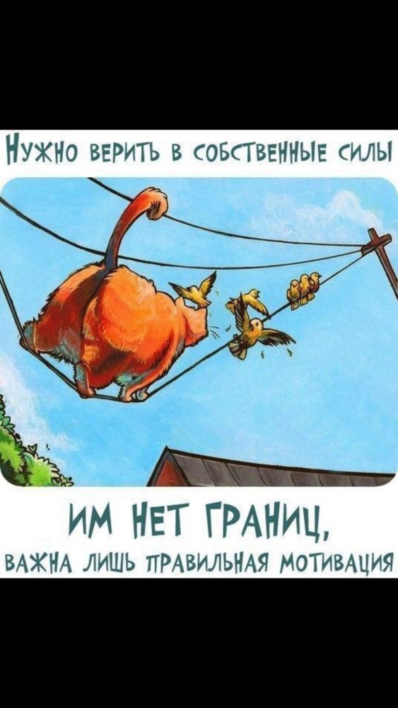 Белый медведь влез на склад с алкоголем и шоколадом в гостинице на острове Шпицберген
