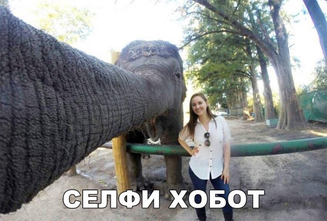 Нестандартный юмор