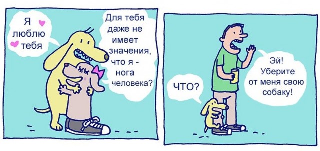 Собачья любовь не знает границ