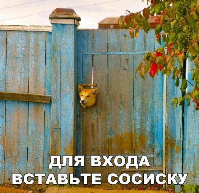 Подборка интересных и веселых картинок 21.04.19