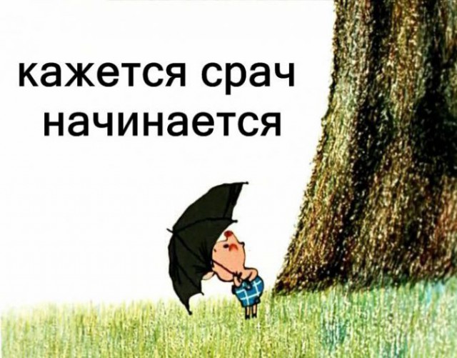 Кого звать, если...