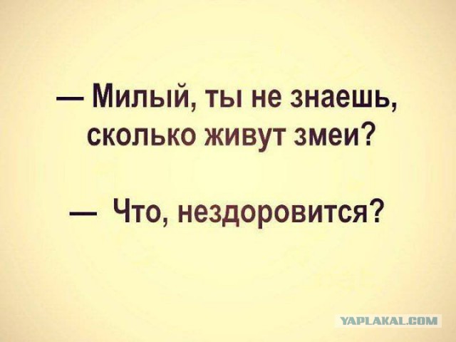 Картинки с надписями, истории и анекдоты 08.10.19