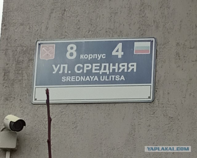 Картинки с надписями, истории и анекдоты 02.11.19