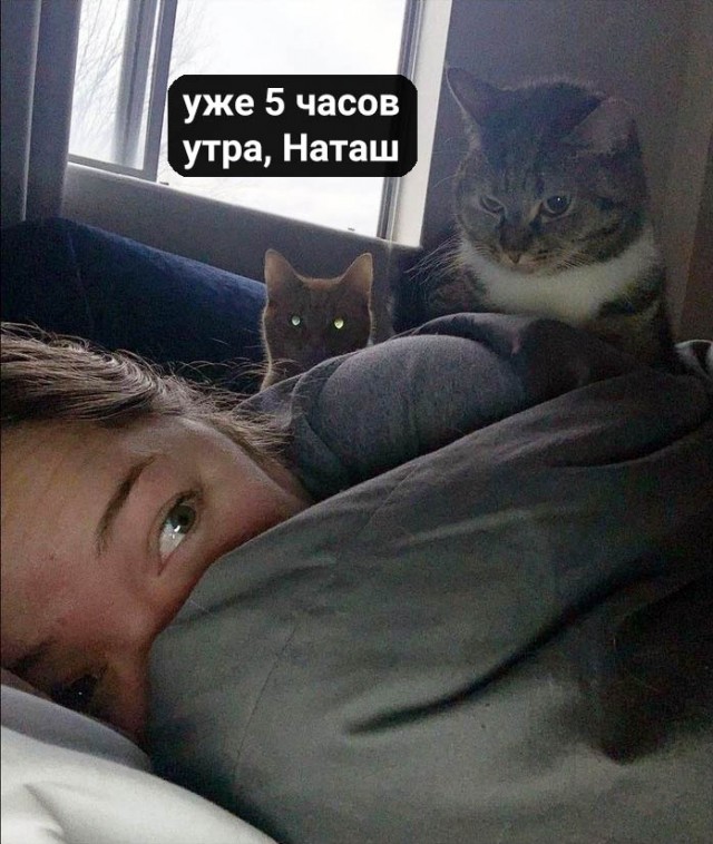 Каждое. "Доброе". Утро