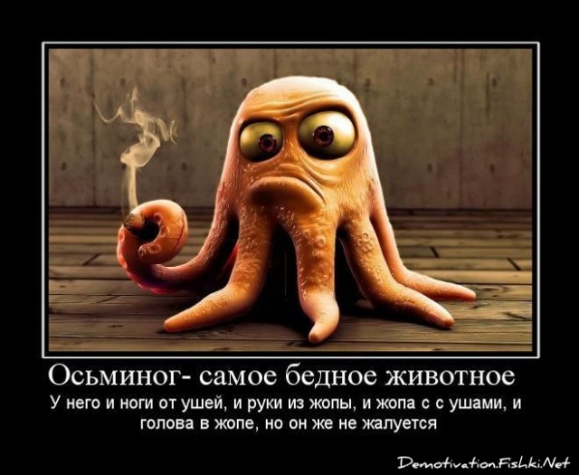 Осьминожка