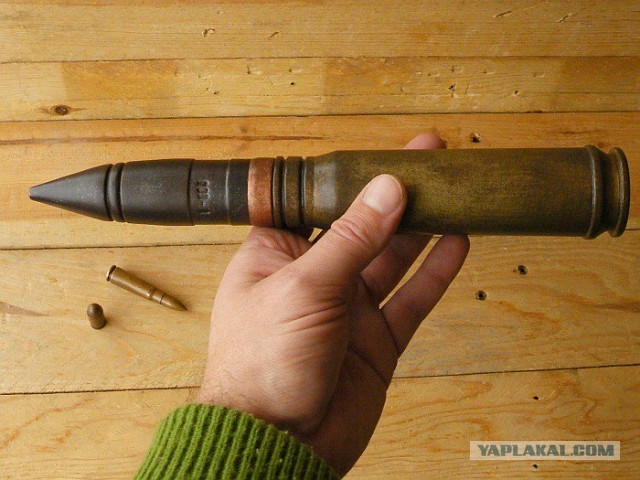 А у нас сегодня утка, вывела вчера утят...