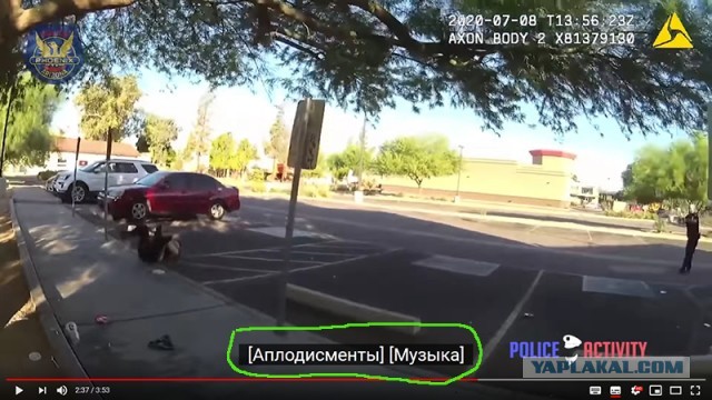 Глупая белая девка и копы
