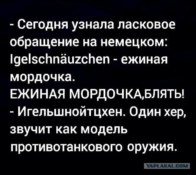 А ты случаем не моргенмуффель, коллега?